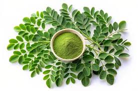 Read more about the article Moringa: The “Miracle Tree”